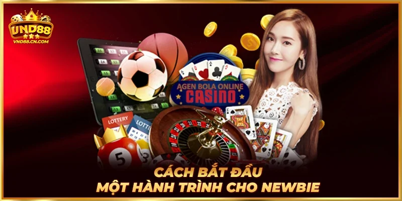 Cách bắt đầu một hành trình cho newbie