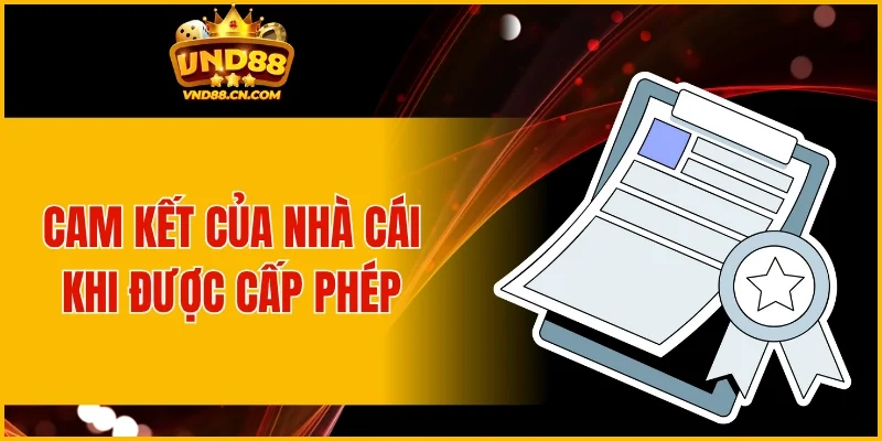 Cam kết của nhà cái VND88 khi được cấp giấy phép hoạt động