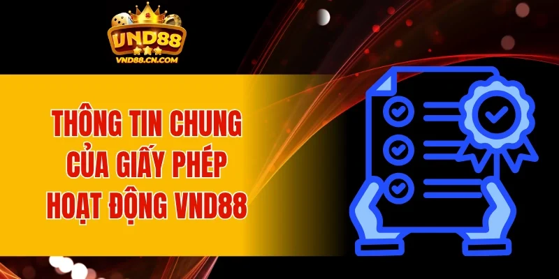 Thông tin chung của giấy phép hoạt động VND88